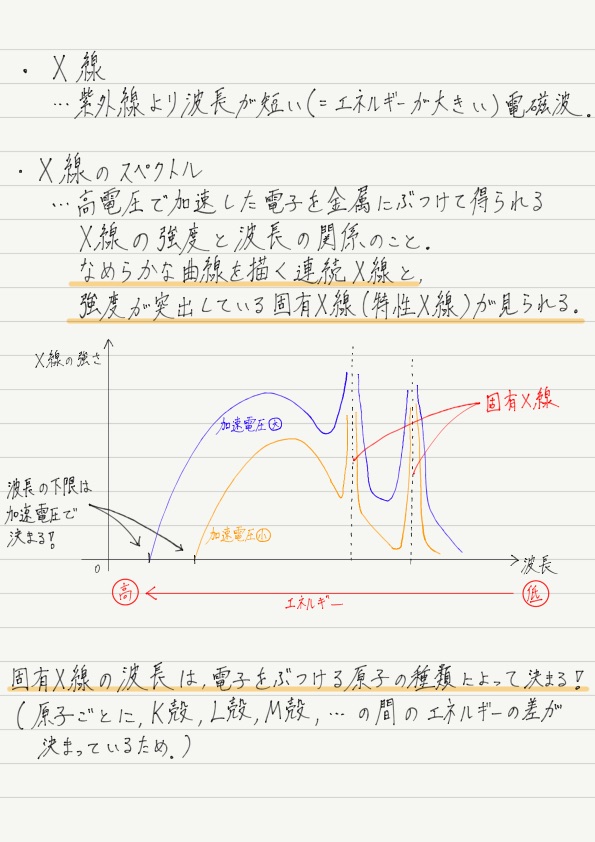 ドクターx 中国